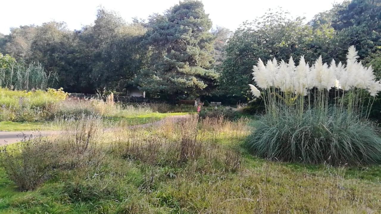 Many Worlds Meet - Eurostar, Wimbledon 30 Mins, Central London, Gatwick 15 Mins - Spacious, Sleeps Up To 16 Plus Cot - Free Wifi, Parking - Next To Lloyd Park, Great For Families, Walkers, Relocators - Ideal For Contractors Croydon Eksteriør bilde