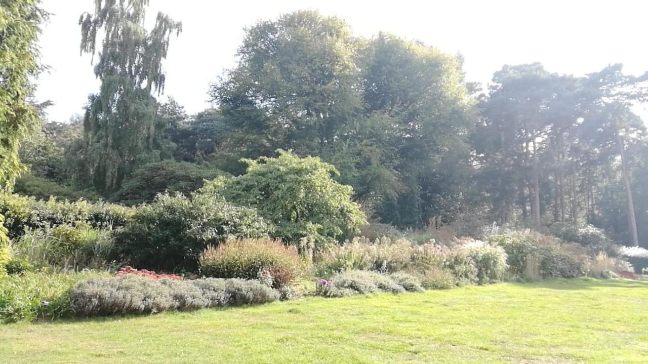 Many Worlds Meet - Eurostar, Wimbledon 30 Mins, Central London, Gatwick 15 Mins - Spacious, Sleeps Up To 16 Plus Cot - Free Wifi, Parking - Next To Lloyd Park, Great For Families, Walkers, Relocators - Ideal For Contractors Croydon Eksteriør bilde