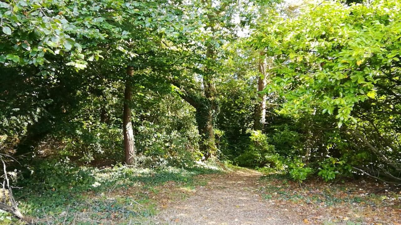 Many Worlds Meet - Eurostar, Wimbledon 30 Mins, Central London, Gatwick 15 Mins - Spacious, Sleeps Up To 16 Plus Cot - Free Wifi, Parking - Next To Lloyd Park, Great For Families, Walkers, Relocators - Ideal For Contractors Croydon Eksteriør bilde