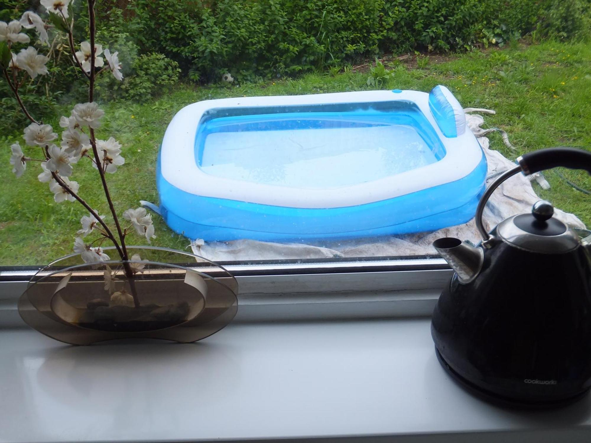 Many Worlds Meet - Eurostar, Wimbledon 30 Mins, Central London, Gatwick 15 Mins - Spacious, Sleeps Up To 16 Plus Cot - Free Wifi, Parking - Next To Lloyd Park, Great For Families, Walkers, Relocators - Ideal For Contractors Croydon Eksteriør bilde